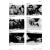 Case - David Brown - Instrukcje Napraw - Service Manuals - DTR - Schematy  885 895 995